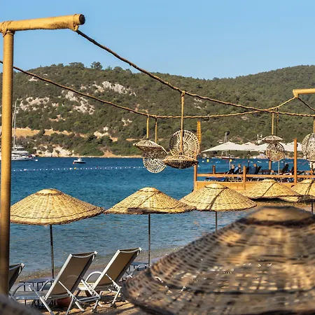 Daphnis Hotel Golturkbuku