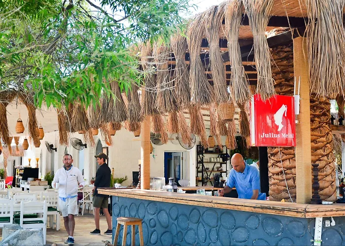 Daphnis Göltürkbükü