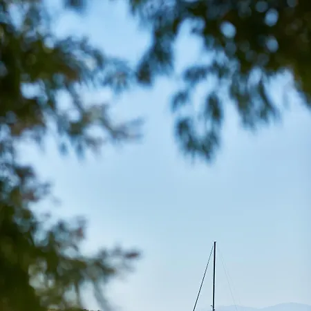 دافنيس 3*