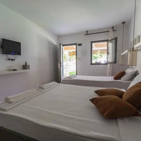 Daphnis גולטורקבוקו