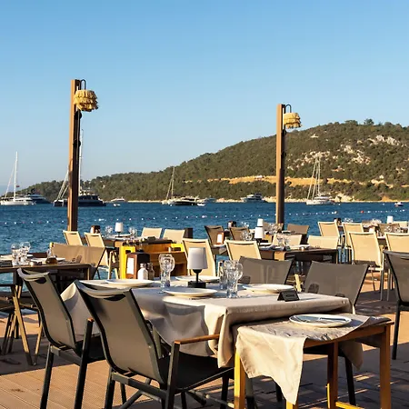 Daphnis גולטורקבוקו