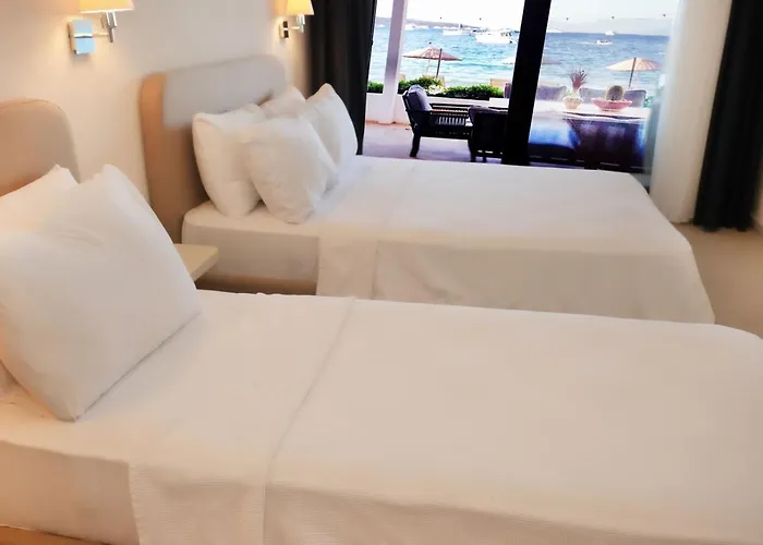 Hotel Daphnis Golturkbuku