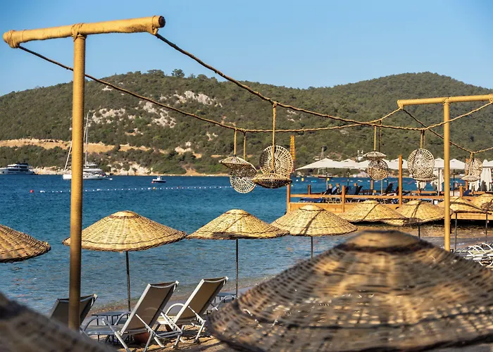 Daphnis Hotel Golturkbuku